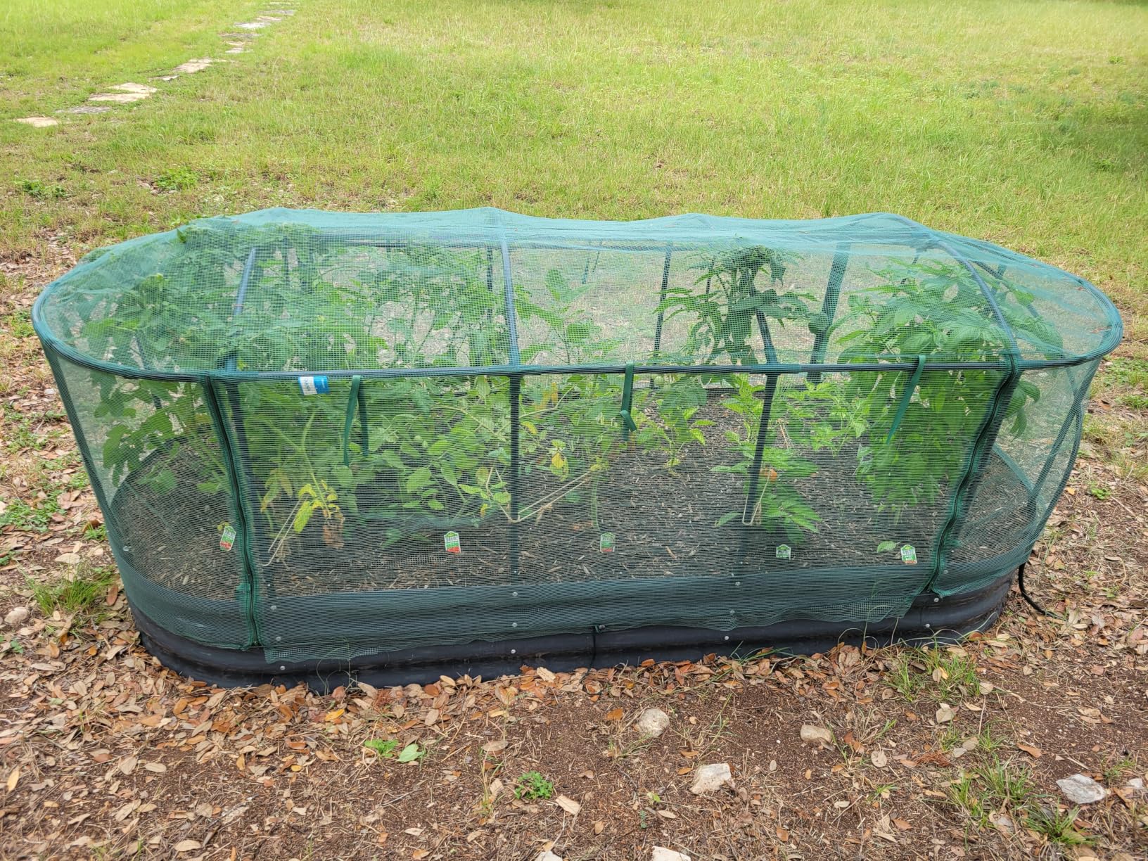Quictent Raised Garden Bed Kit with Self Watering System & Netting 6x3x1Ft | Large Oval Metal Outdoor Planter Garden Boxes for Vegetables Herbs Flowers customer photo 2