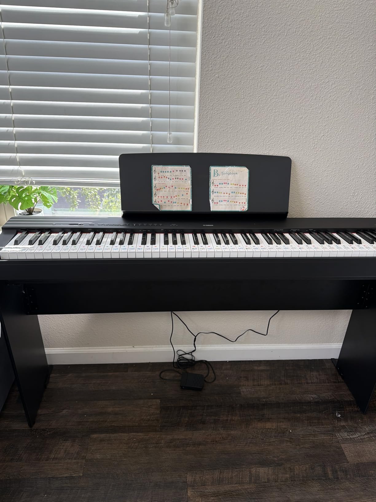 Yamaha P225 88-Key Digital Piano with Weighted Keys, Portable Design, Built-In Speakers customer photo 2