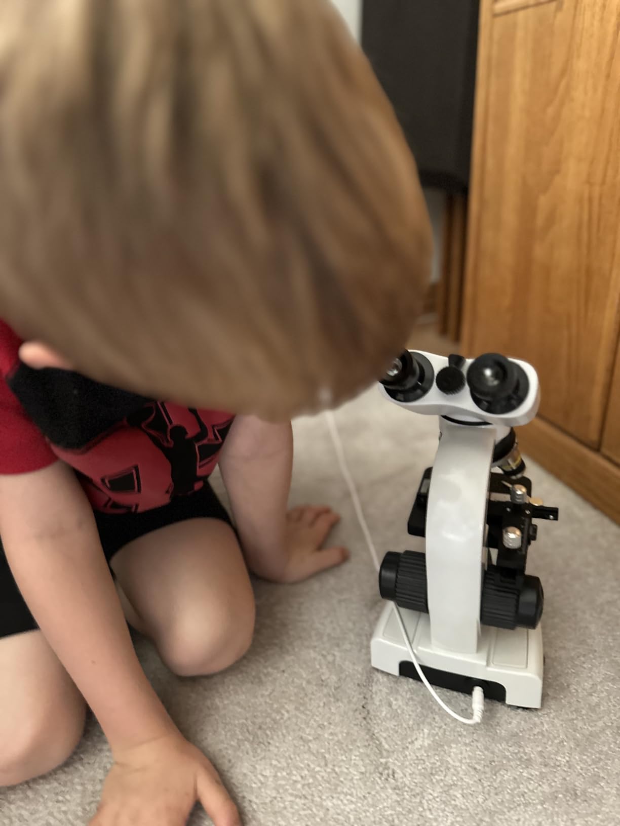 Compound Microscope, 40X-2500X, WF10x and WF25x Eyepieces, Dual LED Lighting and Two-Layer Mechanical Stage, Microscope for Adults & Students customer photo 1