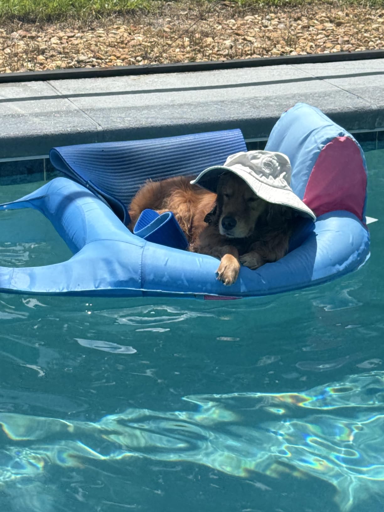 SwimWays Spring Float Recliner, Fast-Inflating Adult Pool Lounger; Ages 15+ | Patented Fast Inflation for Immediate Use During Travel, Fits Most Adults and Teens customer photo 1