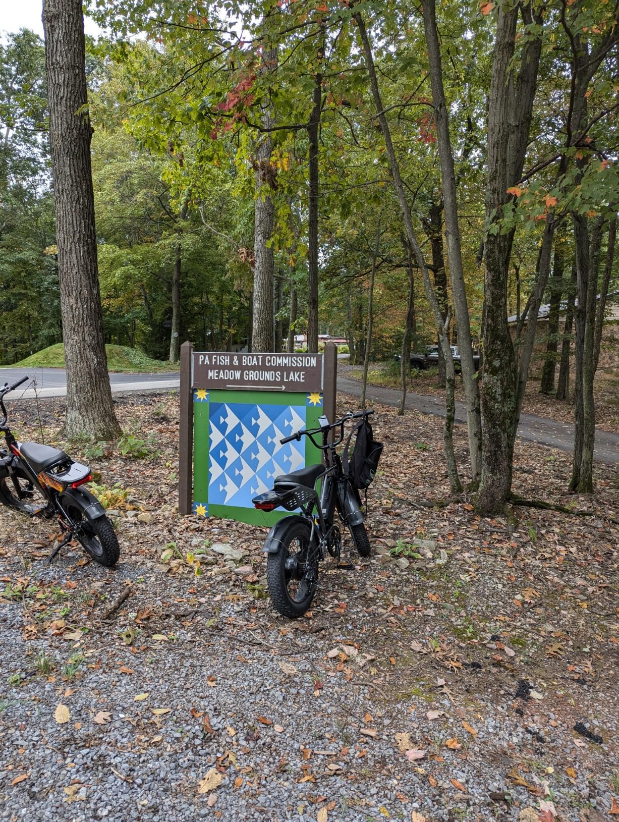 Jasion Electric Bike for Adults, 2000W/3000W Peak E-Bike, Up to 55-90 Miles Range customer photo 1