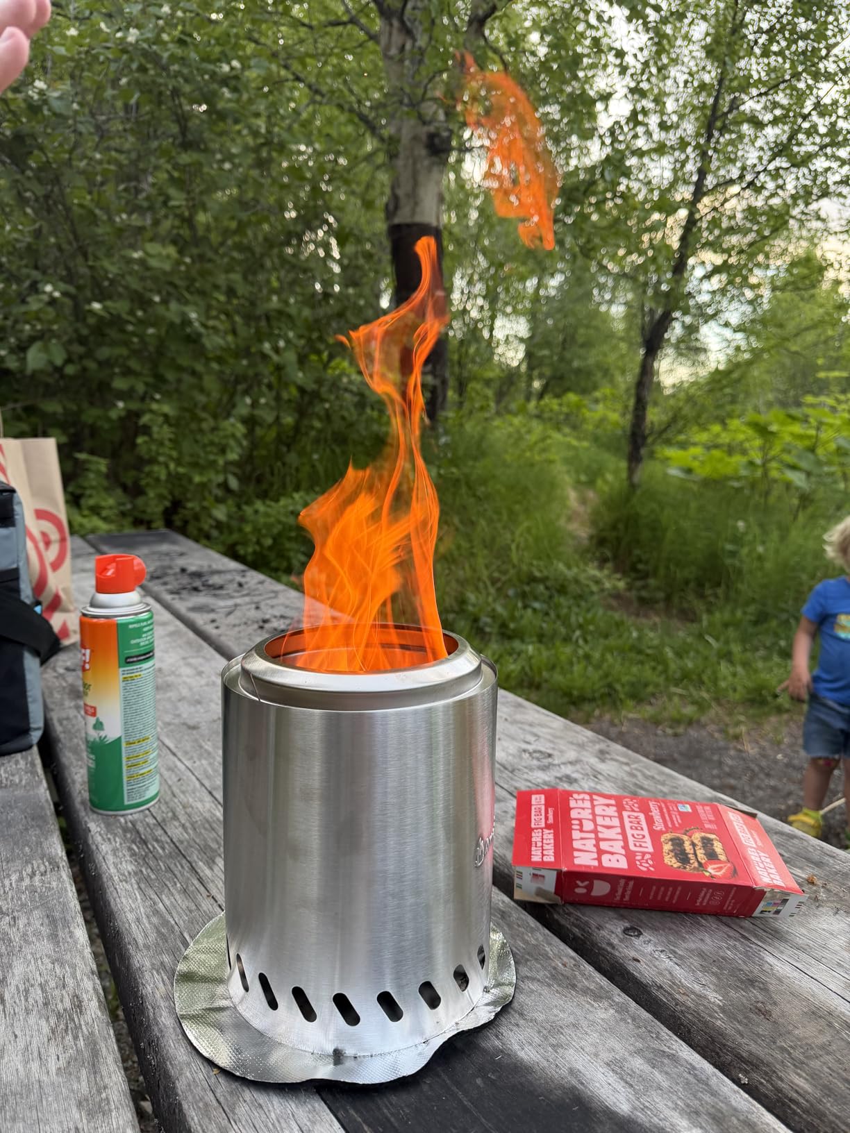9.7 x 7.1 Inch Tabletop Fire Pit by AmazStove, Low Smoke Camping Stove for Outdoor Safe Burning Firepits, Fueled Pellets or Wood, Travel Bag Included (Silver, 9.7 x 7.1 INCH) customer photo 2