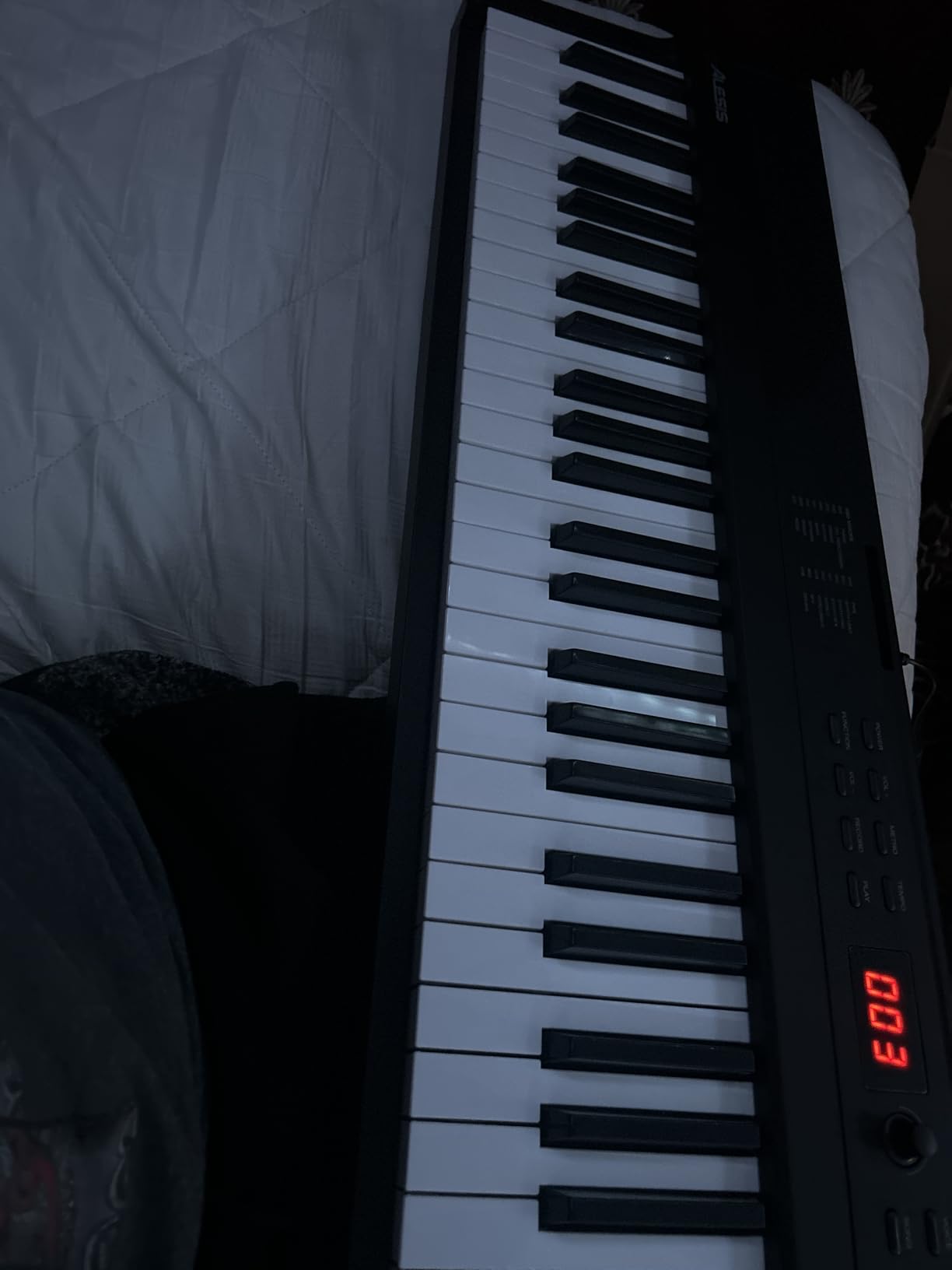 Alesis Recital Play 88-Key Piano Keyboard Bundle with Portable Stand, Sustain Pedal, Headphones, Carry Bag and Built-In Lessons customer photo 1