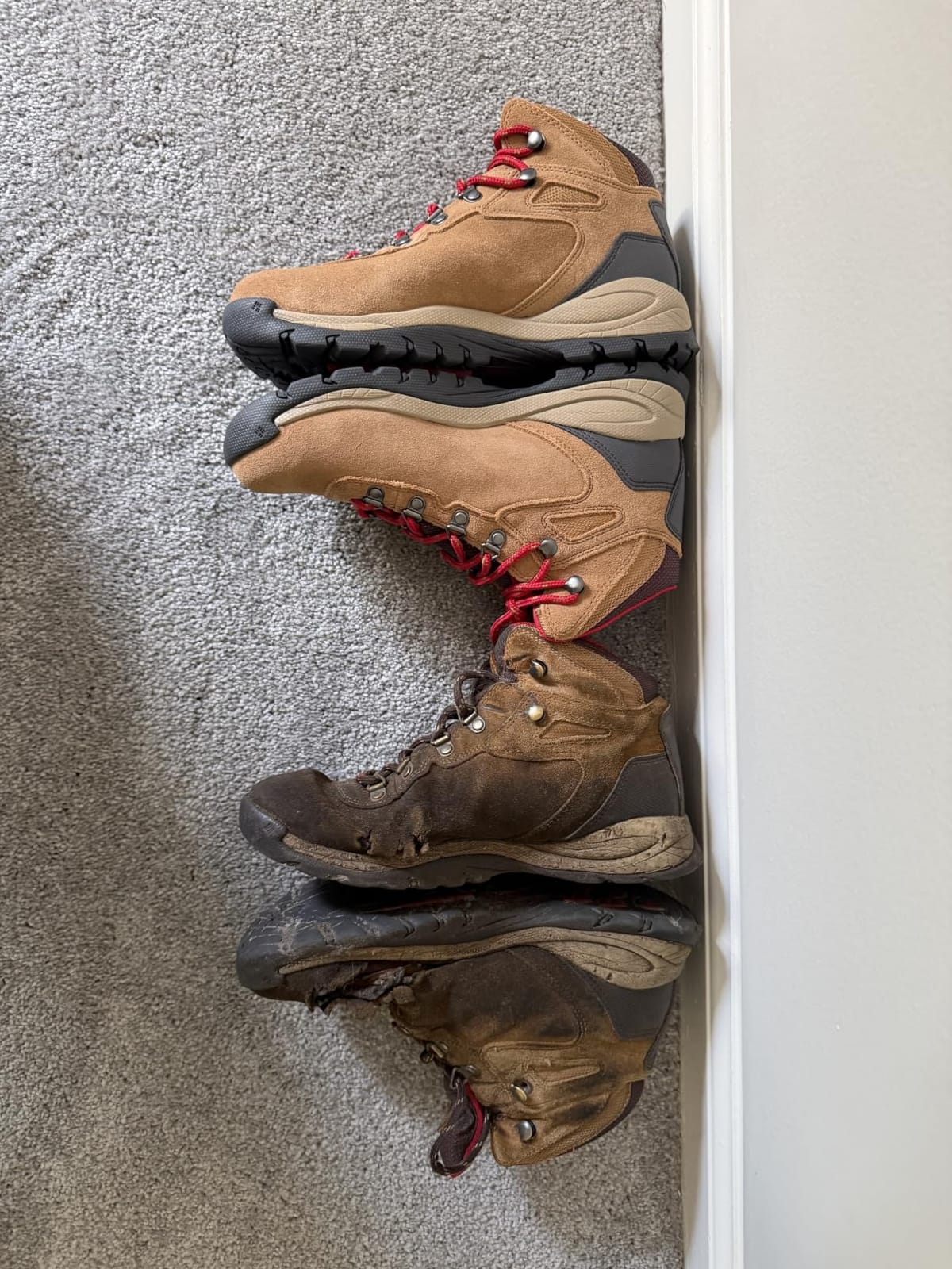 Columbia Women's Newton Ridge Plus Waterproof Amped customer photo 2