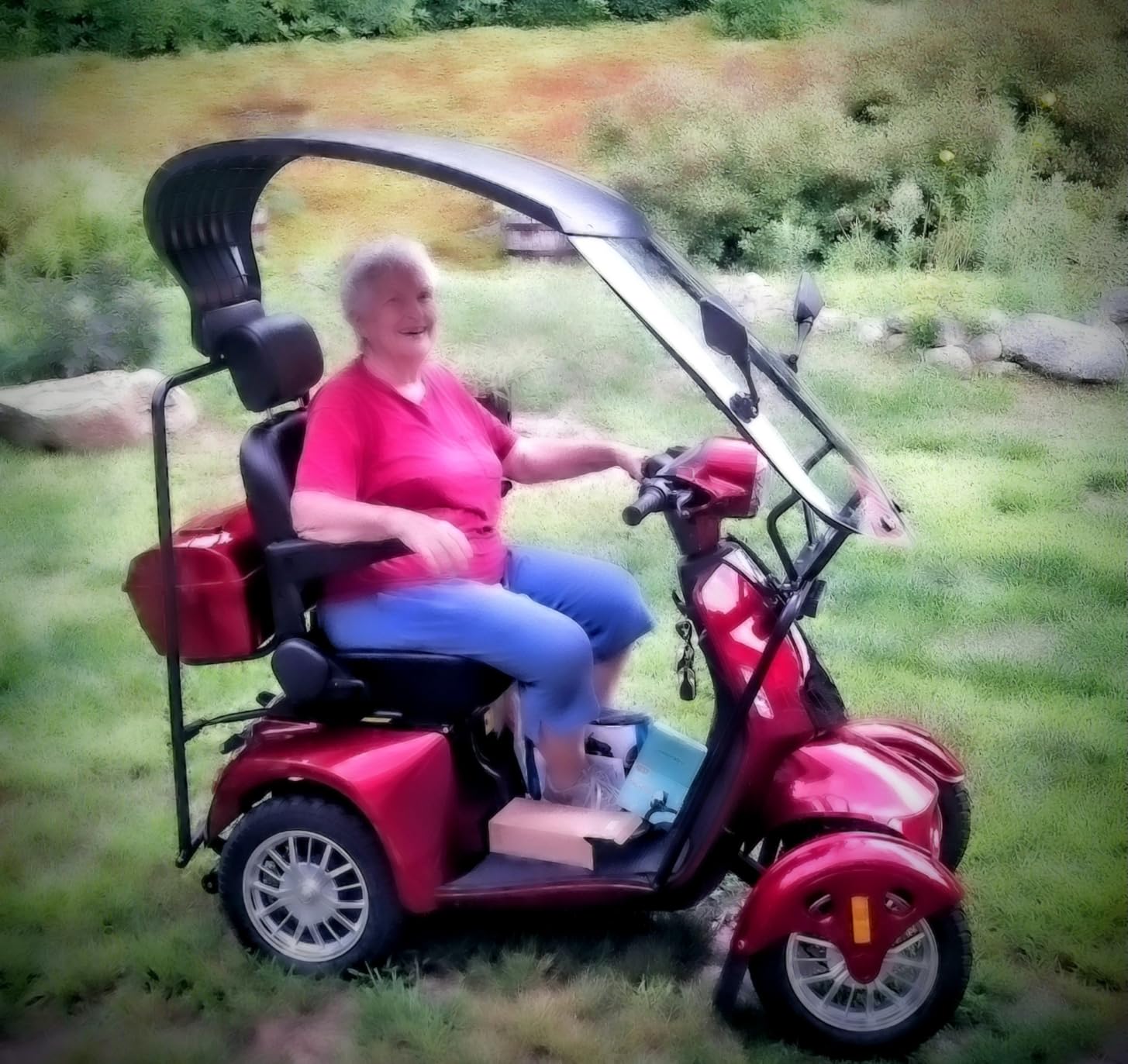 Heavy Duty Mobility Scooter with Roof & Windshield - Electric Powered Wheelchair for Seniors & Adults 500lbs Capacity- 800W Fast Mobility Chair with Long Range Battery Remote Keys customer photo 1