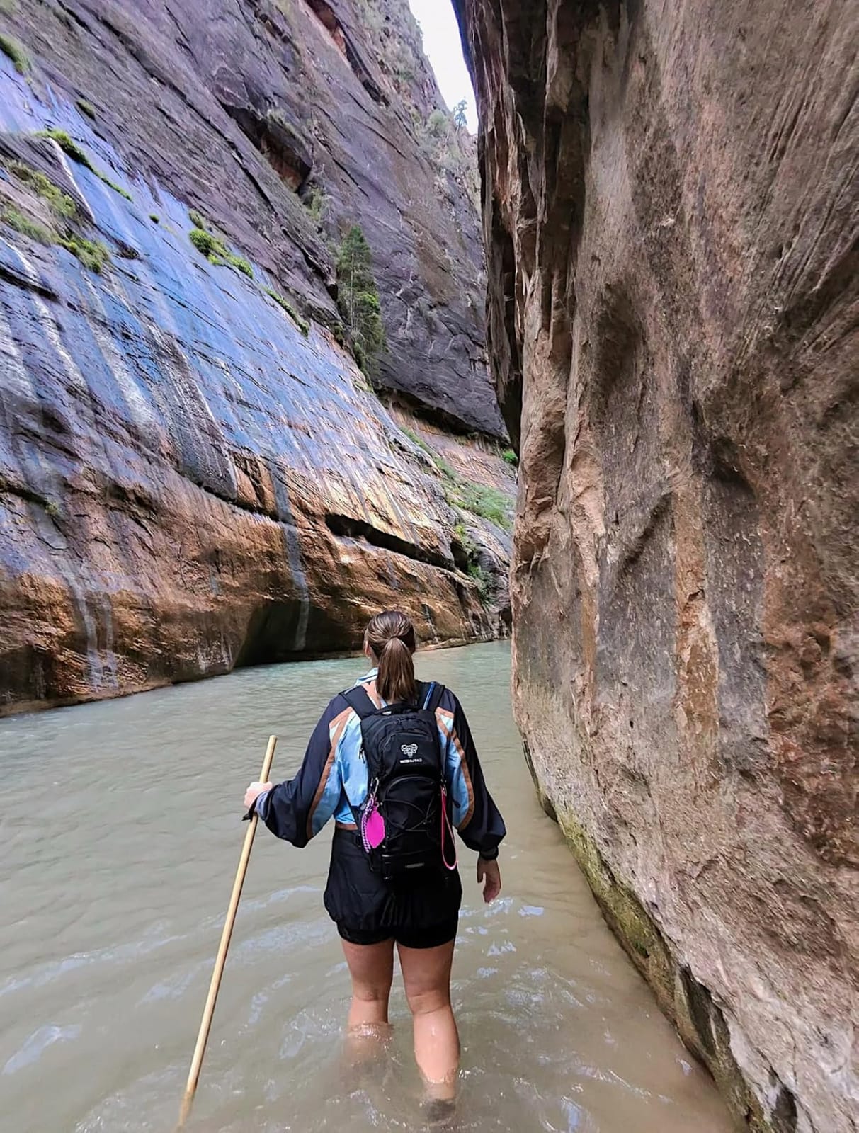 Water Buffalo Sherpa 22L Hiking Hydration Backpack, 2L Bladder | Hiking Backpack with Water Bladder, Waterproof Zippers, Phone Compartment, Trekking Pole Holders, Padded Straps customer photo 1