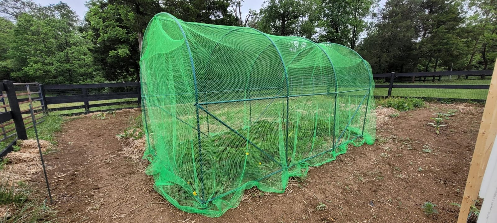 AlpineReach Garden Netting 7.5 x 100 ft, Black Heavy Duty Bird Net customer photo 2