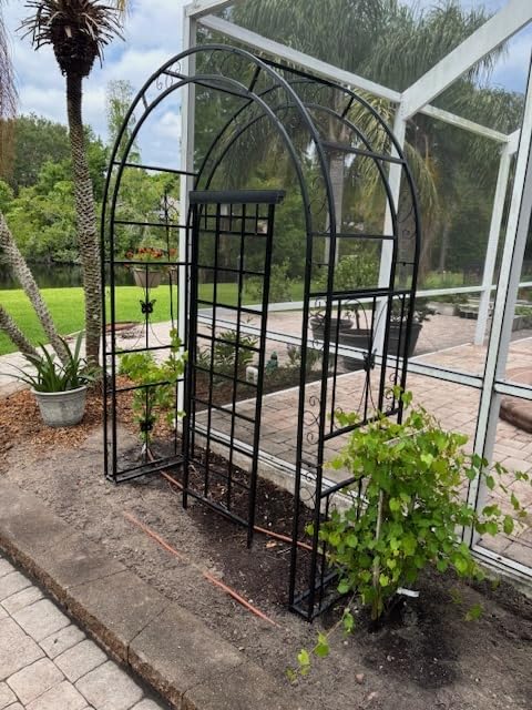 VINGLI Garden Arbor, Arch Archway for Wedding Ceremony Party, Steel Garden Trellis for Plant Climbing, Christmas Garden Decorations Pergola for Garden, Backyard, Lawn (Black, 52.2x22.8x83.9in) customer photo 1