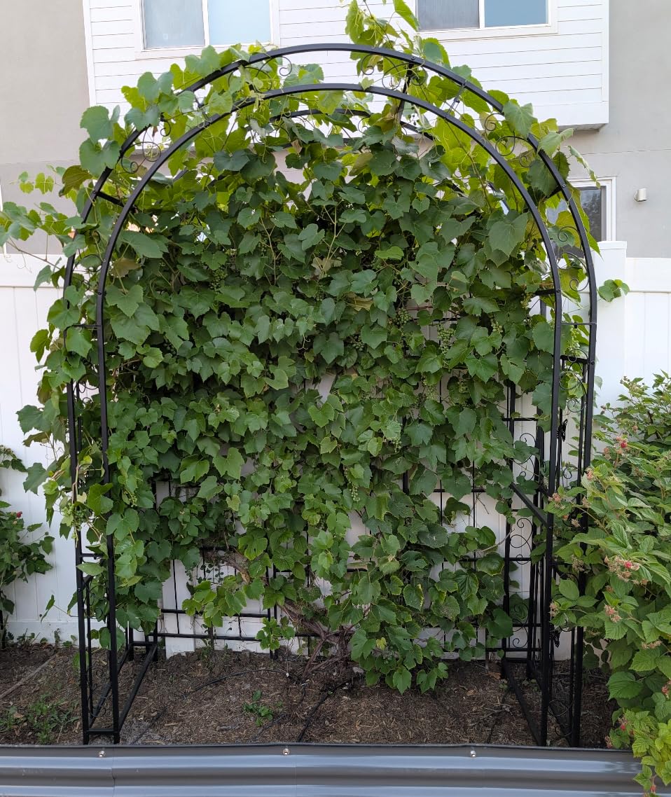 VINGLI Garden Arbor, Arch Archway for Wedding Ceremony Party, Steel Garden Trellis for Plant Climbing, Christmas Garden Decorations Pergola for Garden, Backyard, Lawn (Black, 52.2x22.8x83.9in) customer photo 2