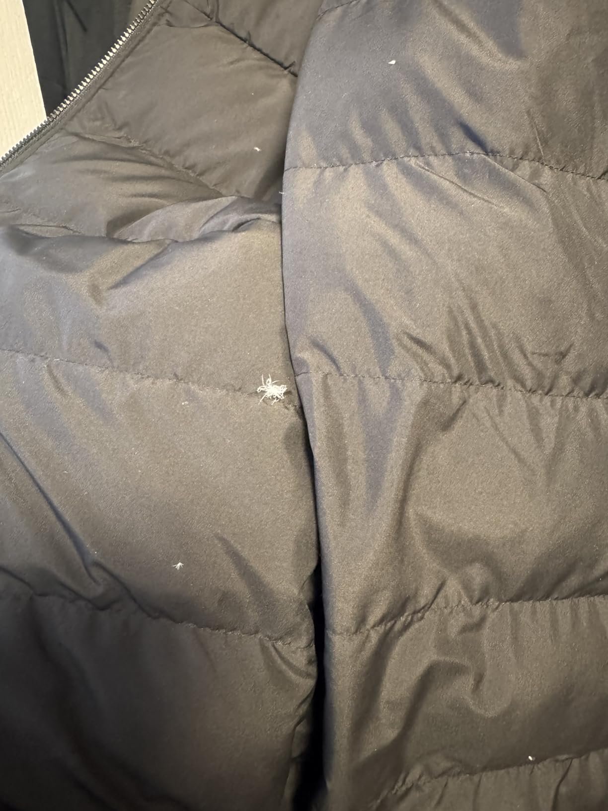 The North Face Men's Aconcagua 3 Hooded Jacket customer photo 2
