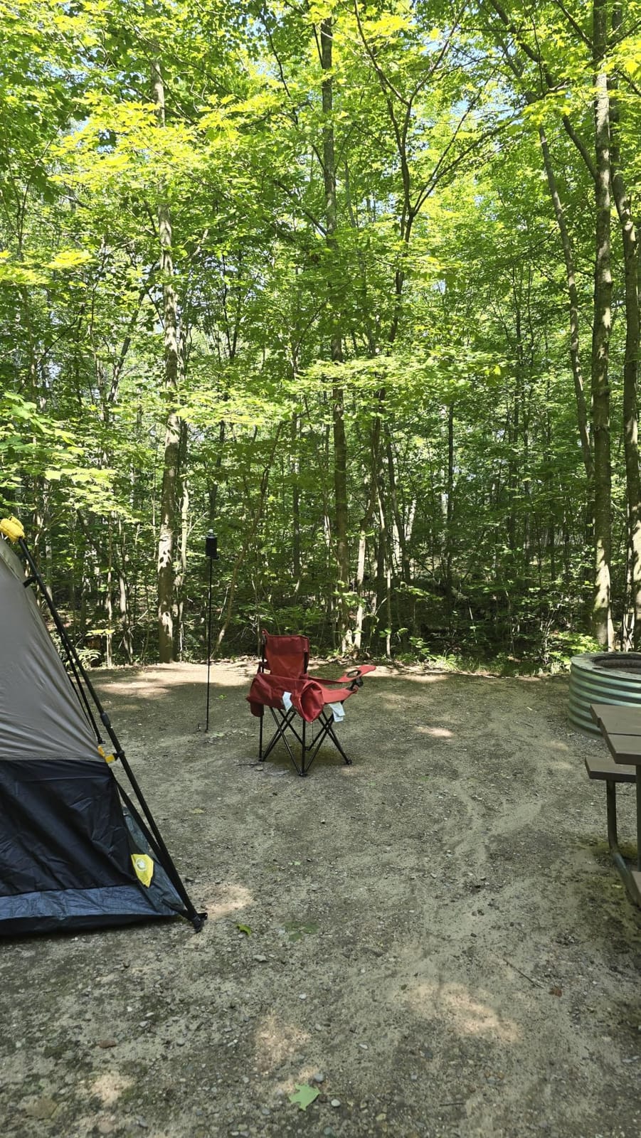FanttikOutdoor 4/6/8/10 Person Instant Tent for Camping Setup in 60s | Camping Tent with Rainfly & Windproof, Portable Instant Cabin Tent with Carry Bag for Family Camping & Hiking customer photo 2