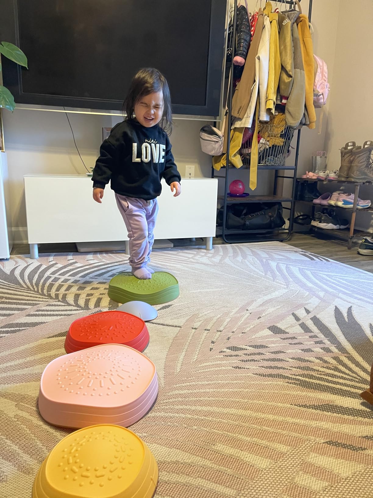 Tiny Land Stepping Stones for Kids, 5pcs Non-Slip Balance Toddler Toys | Sensory Stepping Stones for Toddlers 3-5 to Promote Balance, Coordination, and Active Play Skills Indoors or Outdoors customer photo 2
