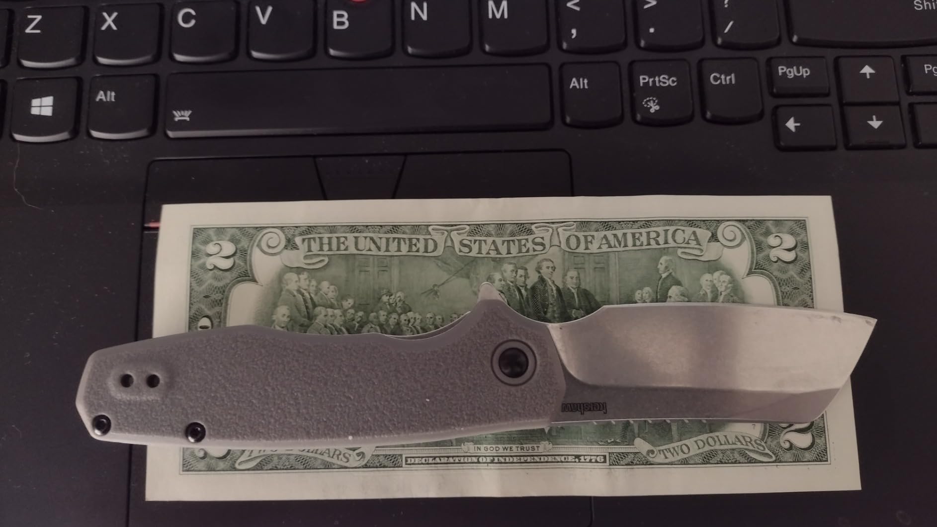 Kershaw Wharf Pocket Knife, Gray, 2.8 Inch Cleaver Blade | EDC with Assisted Opening, Reversible Deep-Carry Pocketclip, Everyday Carry for Men and Women customer photo 1
