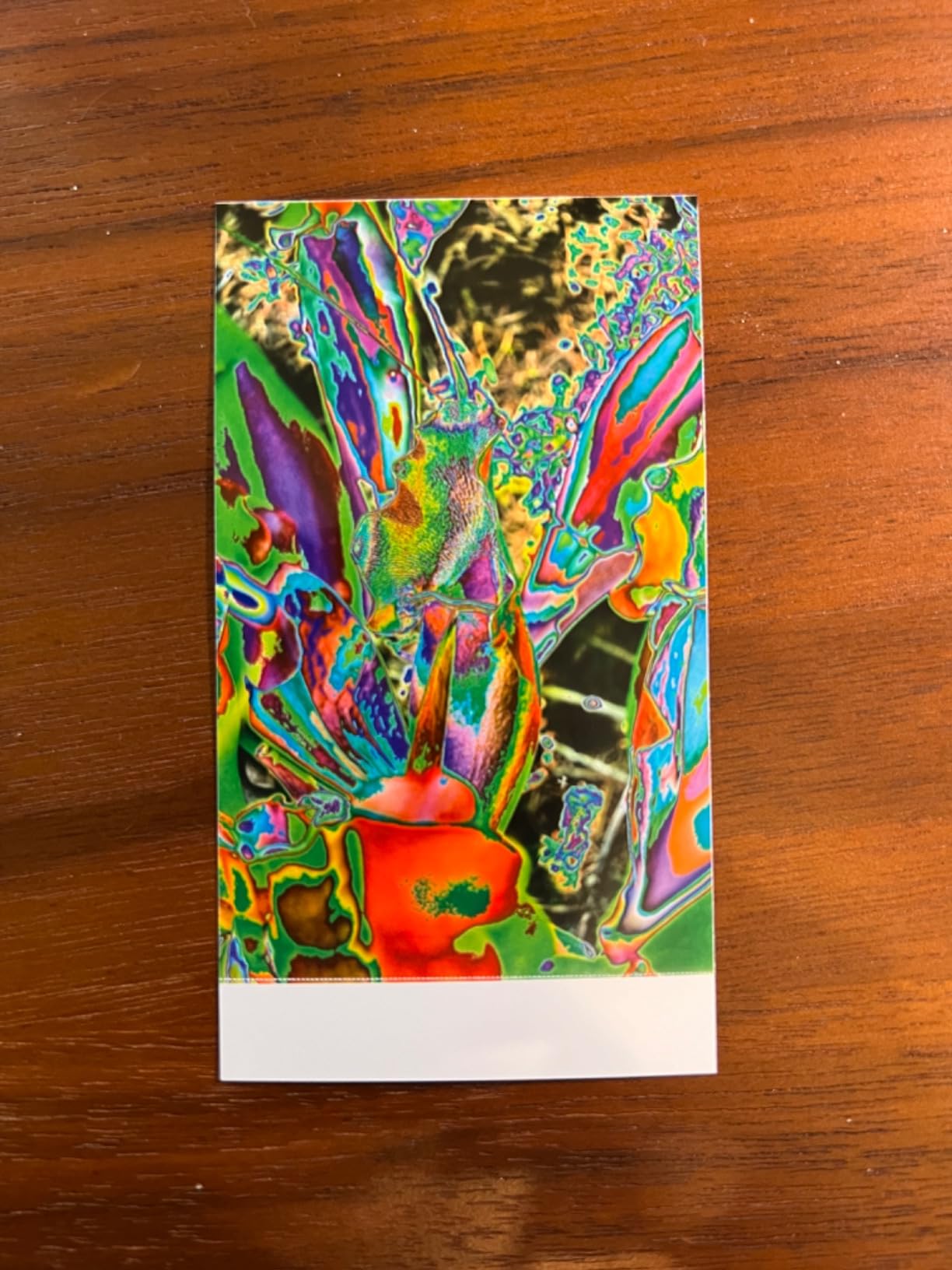 Hi-Print + Paper Bundle - 2nd Generation Bluetooth Connected 2x3 Pocket Photo Dye-Sub Printer - White Printer + 40 Photos (6438) customer photo 1