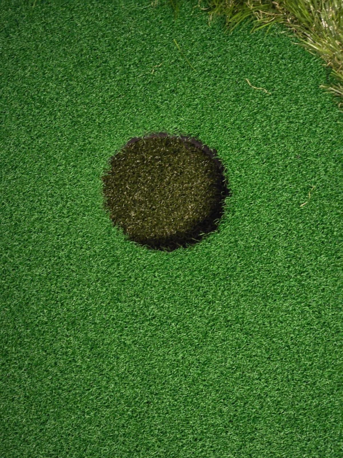 Golf Putting Green Indoor with 3.3 x 10 Ft Large Fairway & Rough Turf | Artificial turf for putting green and short game practice at home, office, backyard, or simulator room customer photo 1