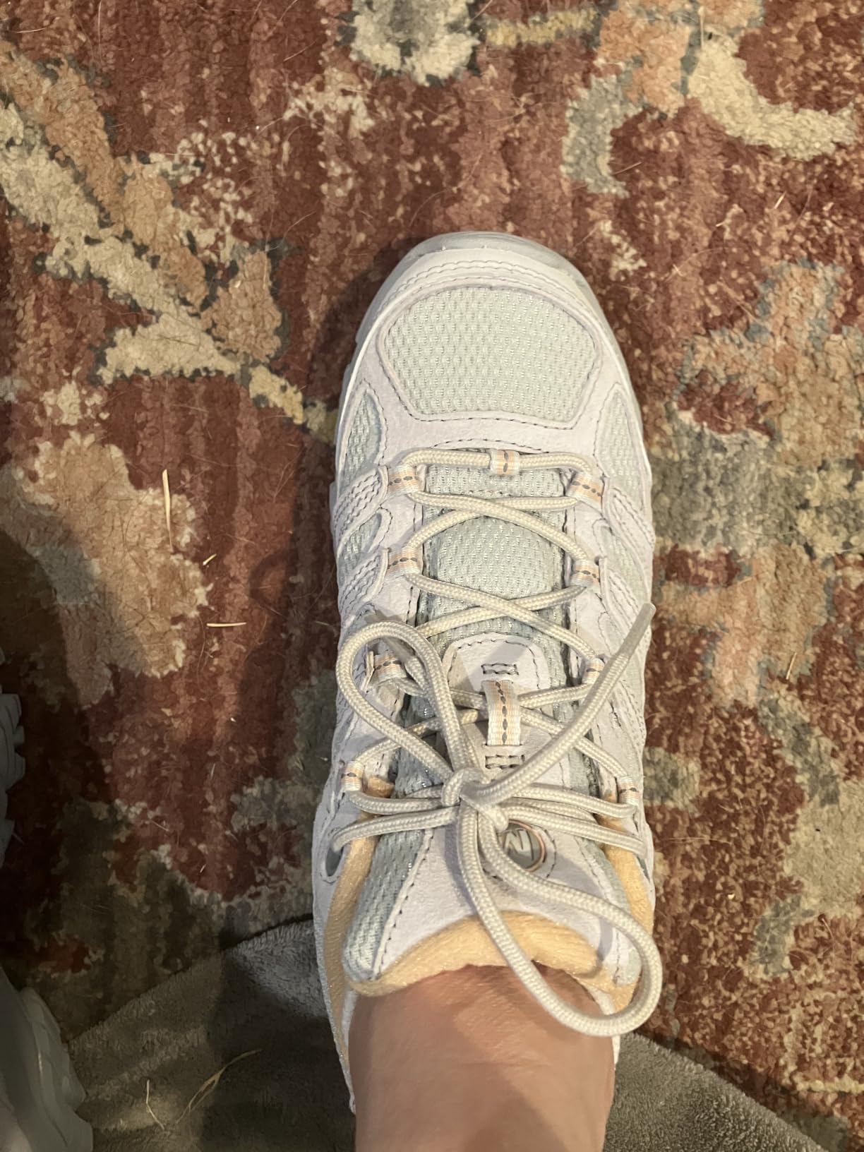 Merrell Women's Moab 3 Hiking Shoes customer photo 1