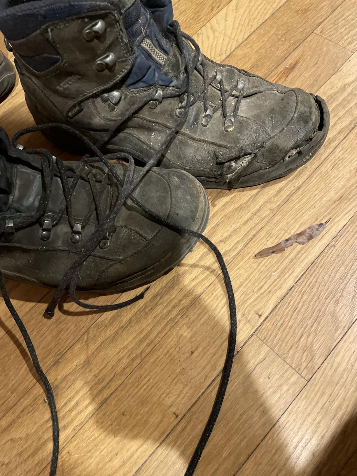 LOWA Men's Renegade EVO GTX Mid Hiking Boot customer photo 1