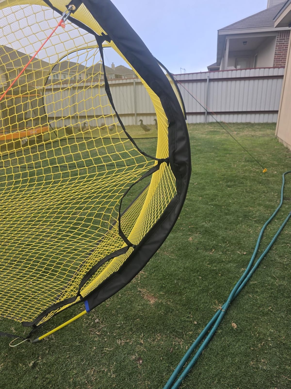 Apex Sports Portable 22ft x 12ft x 8ft Baseball & Softball Batting Cage with Pitching Machine Hole, 3ply 1.25'' Yellow Netting, Secure Steel Poles, 12.7MM Fibreglass Poles, Carry Bag Included customer photo 2