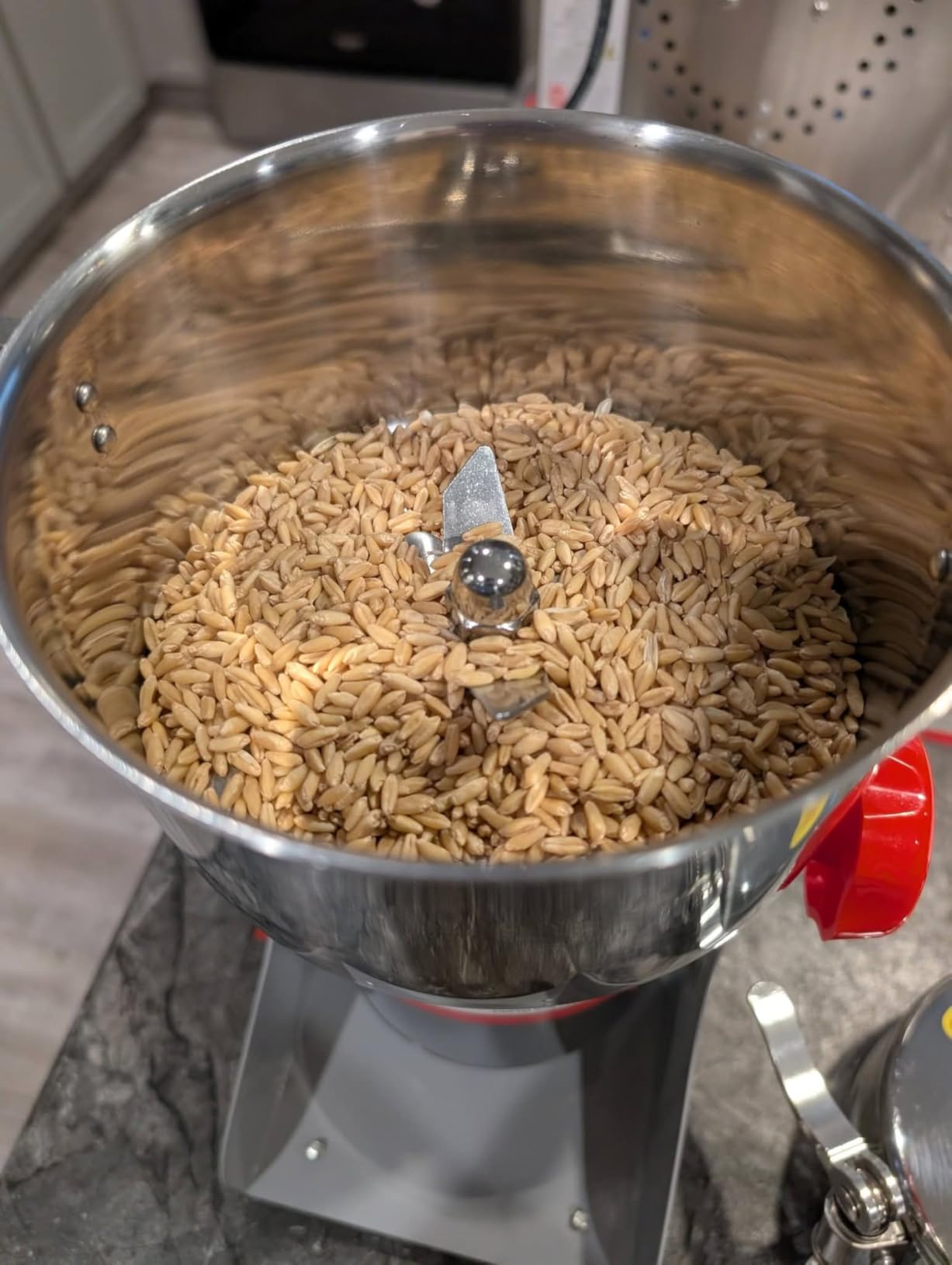 3000W Electric Grain Mill Grinder, 800g Stainless Steel Flour Mill Grinder for Home Use, High Speed Commercial Pulverizer for Dry Grains Spices Coffee Corn Pepper, Swing Type customer photo 1