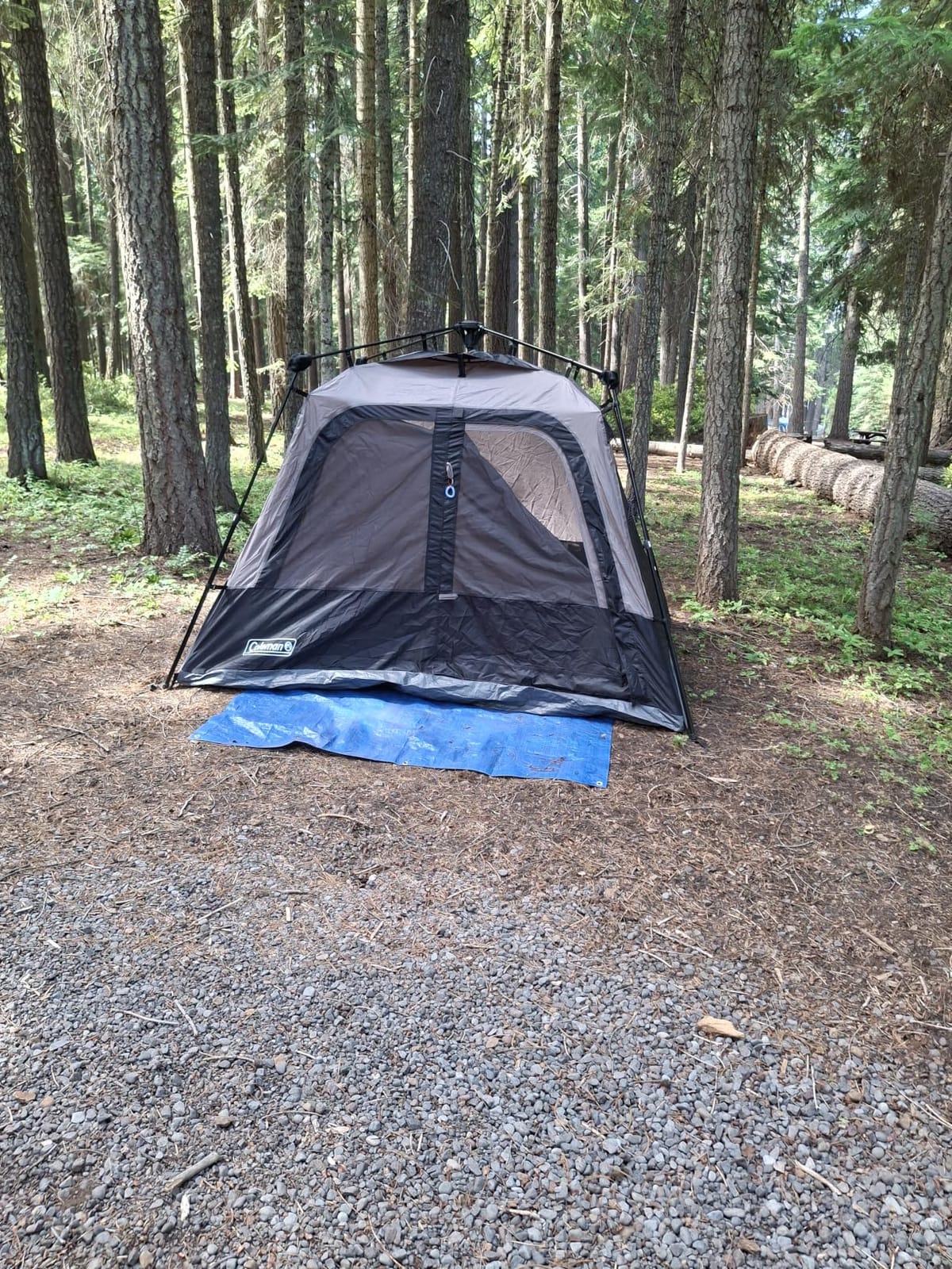 Coleman 4/6/8/10 Person Instant Camping Tent with 1-Minute Setup | Easy Setup & Storage, Spacious Interior, Pre-Attached Poles, 3-Season Family Tent, Gear Pockets, Carry Bag customer photo 1