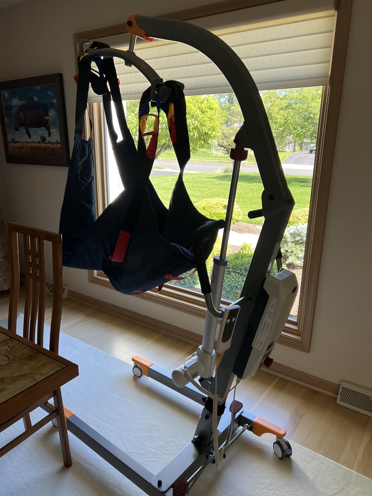 Aluminum Electric Patient Lift for Home, Lightweight Premium 450lbs Patient Lift | Folding Body Transfer Lift for Car | Upgraded Version customer photo 1