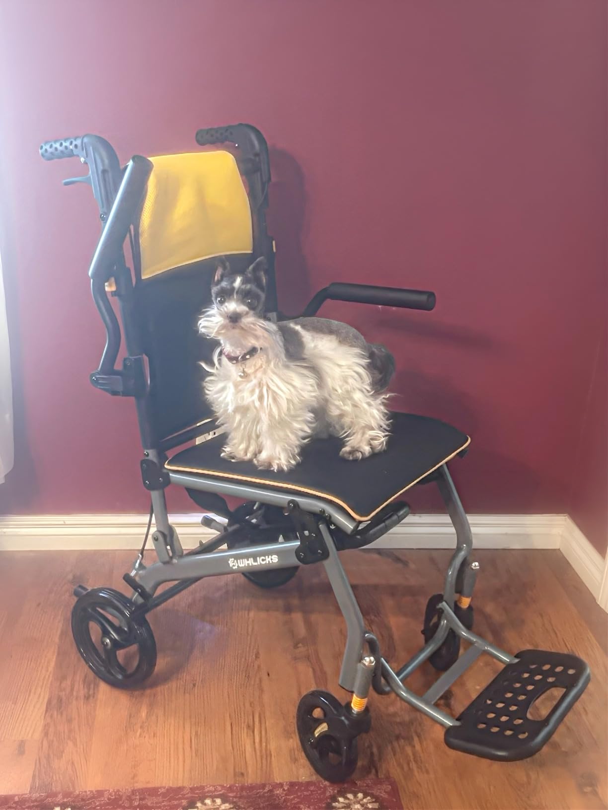 Wheelchairs for Adults Transport Chair Lightweight Foldable with Telescopic Handle, 17