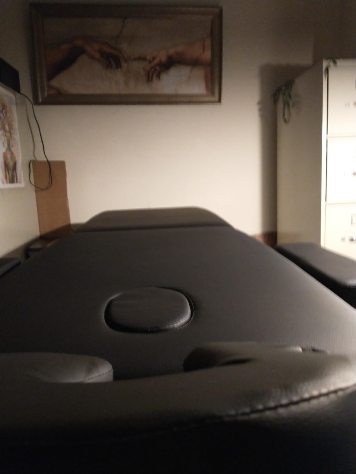 Brelley 2-Fold Aluminum Adjustable Massage Table Portable 22.8