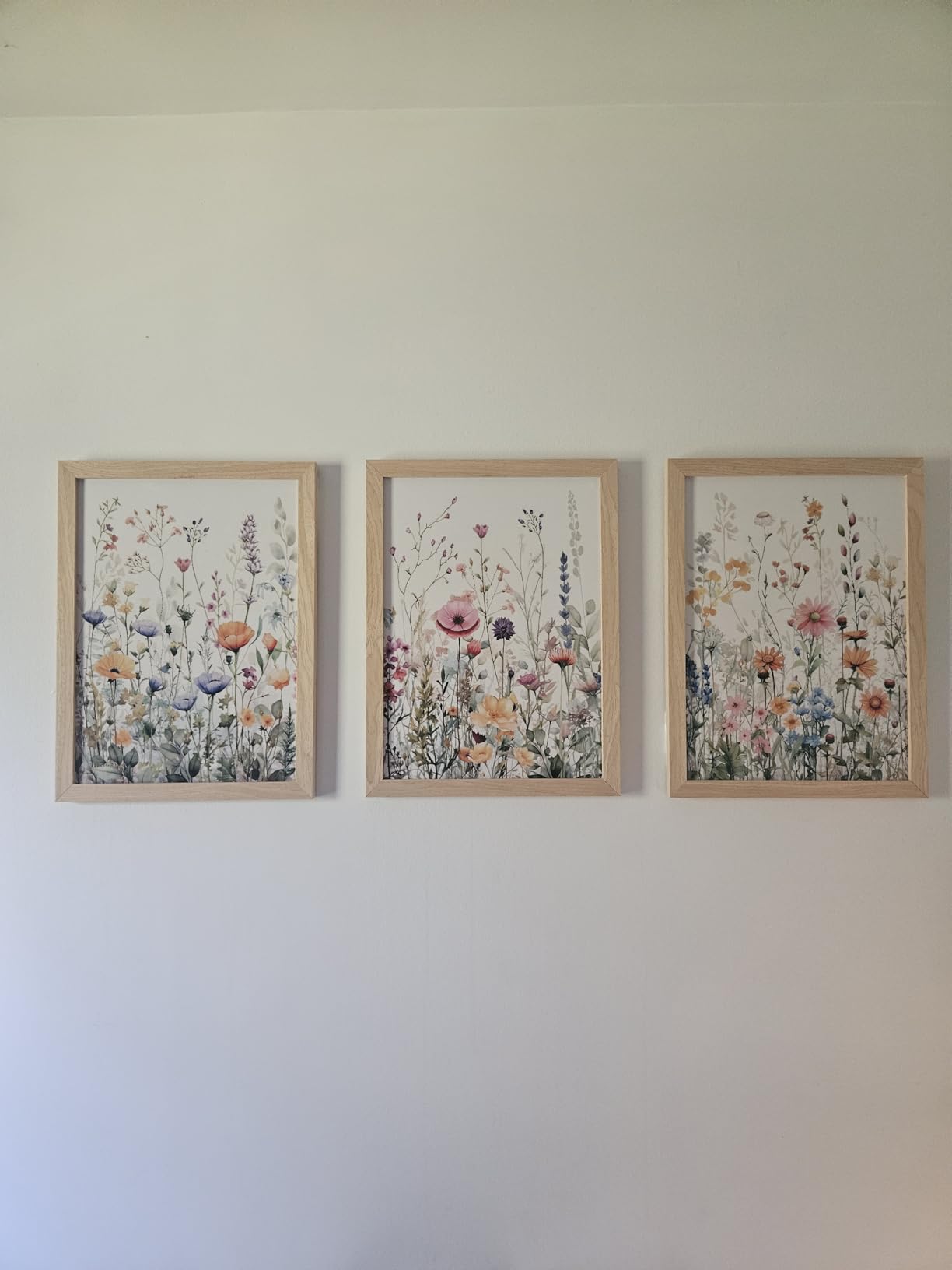 WRFON Framed Sage Green Botanical Wall Art Set of 3, Watercolor Eucalyptus & Wild Plant Canvas Prints, Minimalist Green Wall Decor customer photo 1