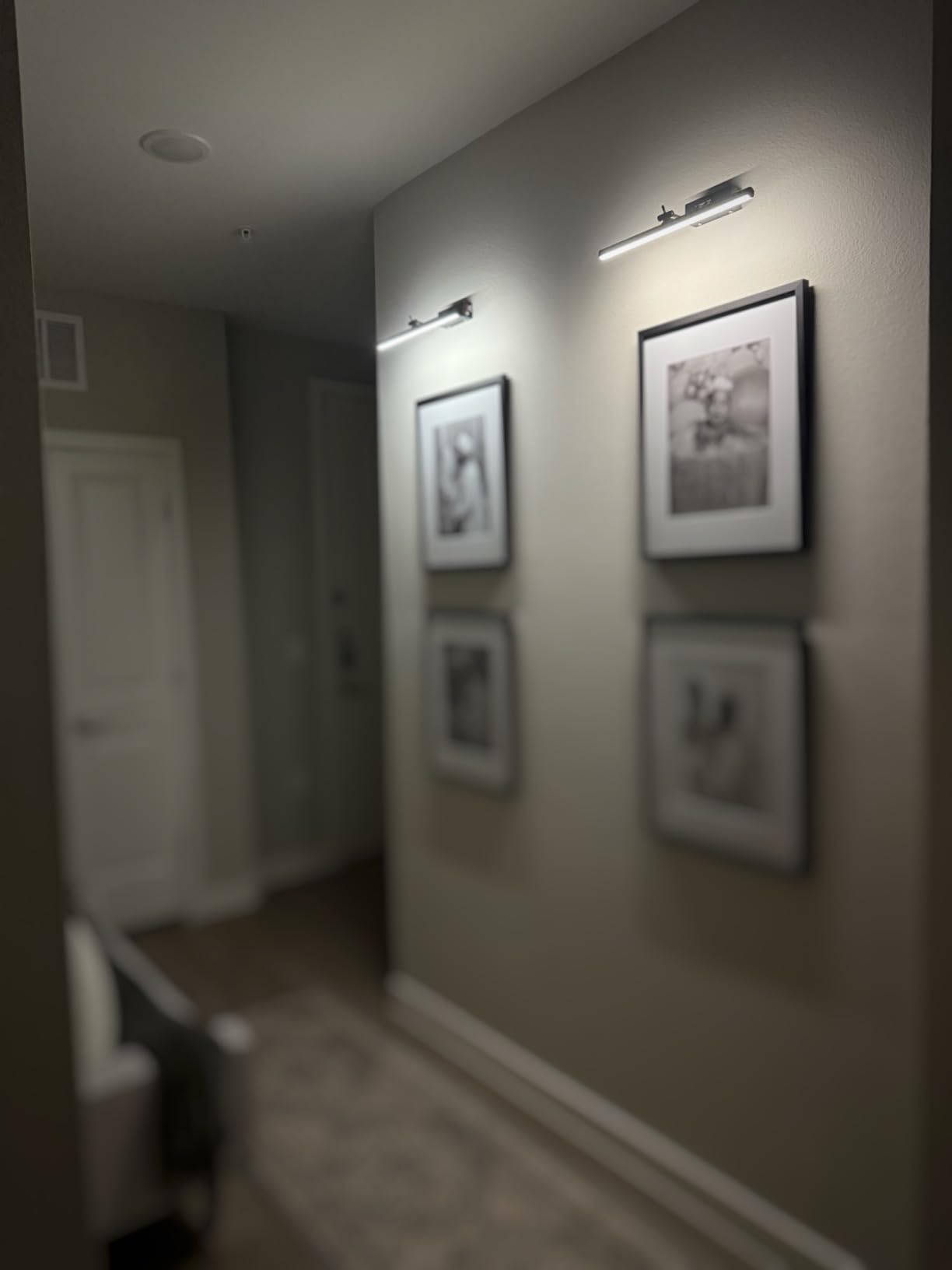 Yuichoy 2 Pack Picture Lights for Wall Battery Operated, 16 inch Wireless Art Lighting for Painting, 6 Colors Picture Frame Lights with Remote, Dimmable 5200mAh Gallery Light, Black customer photo 2