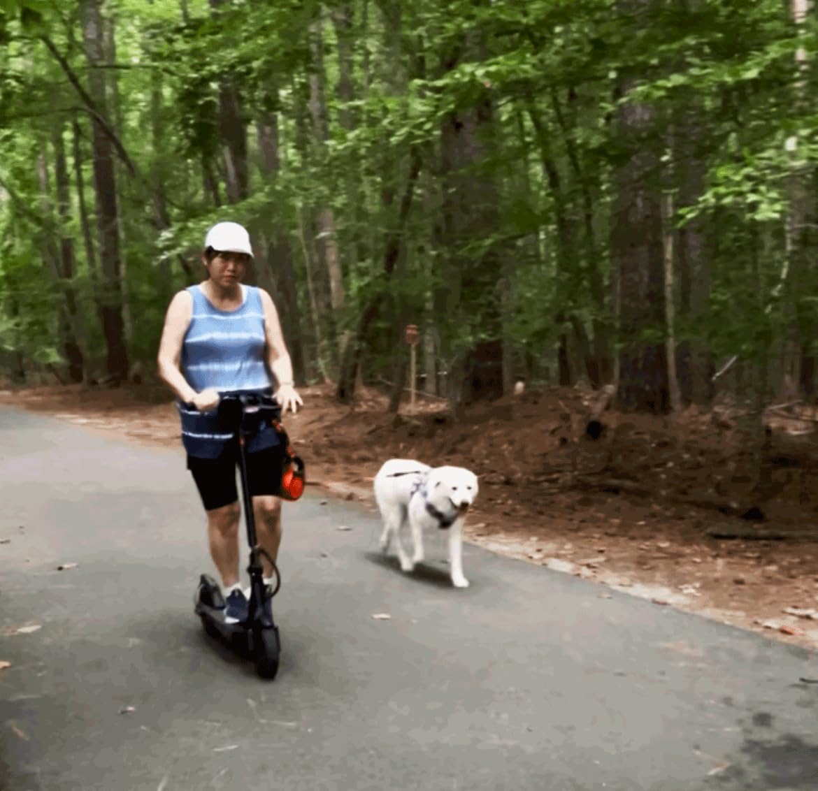 iScooter Electric Scooter for Adults, Foldable E-Scooter for Commuting | Cruise control, Smart App, dual braking, LED lights, and easy folding for daily commuting, campus travel and city rides customer photo 2