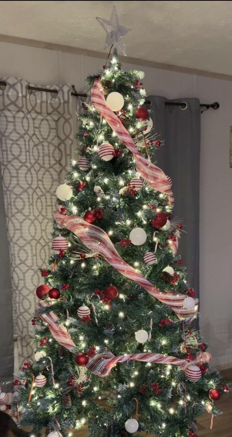 Cosy Family 7.5 ft Christmas Tree Storage Bag - Durable Heavy Duty Extra Large Artificial Xmas Holiday Tree Bag with Reinforced Handles and Dual Zippers Wide Opening - Red customer photo 2