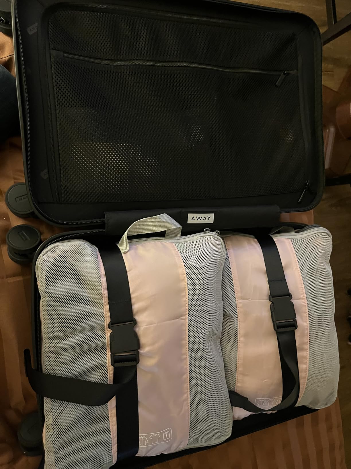 Away Carry-On Luggage - 22-Inch Lightweight Hardside Suitcase with 360° Spinner Wheels, Interior Compression System, TSA-Approved Lock - Sea Green customer photo 1