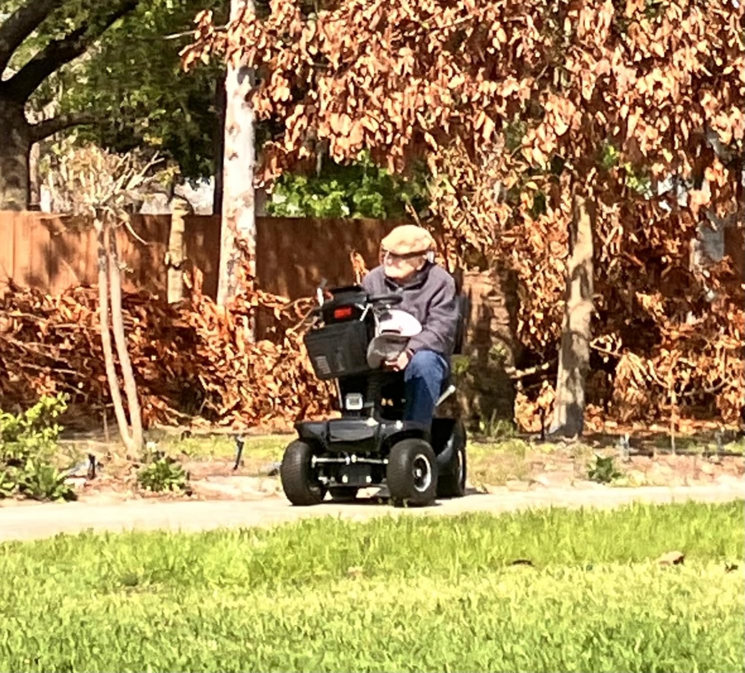 Mobility Scooters for Seniors and Adults, All-Terrain Mobility Scooter with Waterproof Cover, Heavy duty 4-Wheel Electric Powered Mobility Cart Handicap Scooters, 1000W Motor customer photo 2