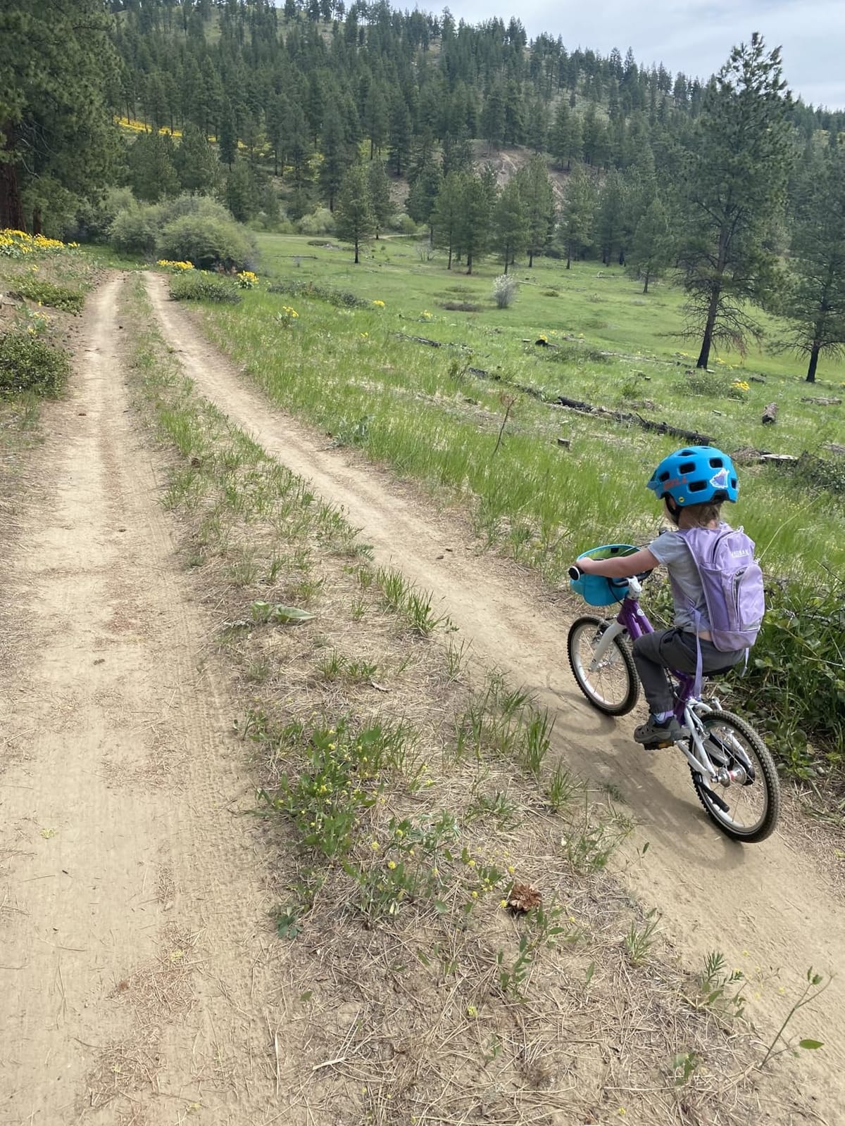 CamelBak Mini M.U.L.E. Kids Hydration Backpack, Lightweight Trail and Bike Pack with 50oz Reservoir customer photo 1