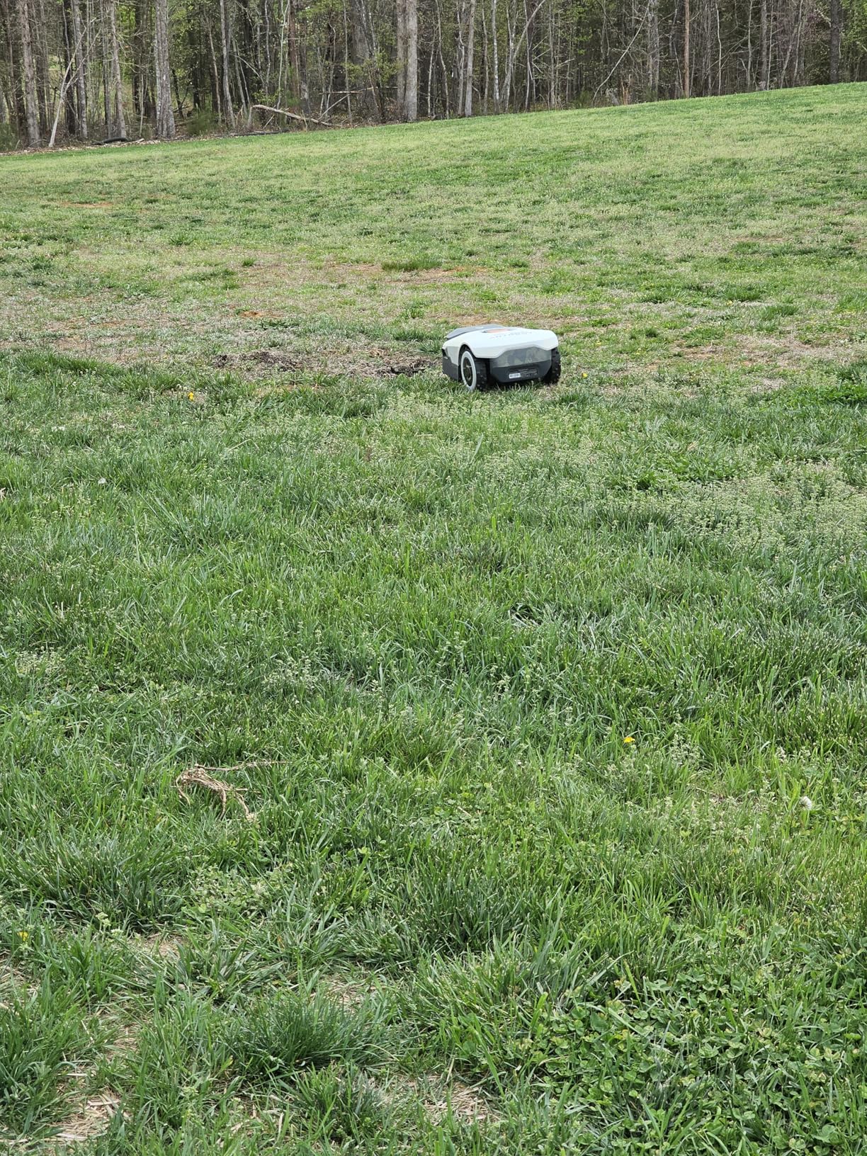 Robot Lawn Mower NO Wire - 0.9 Acre, Full Band RTK+4-Eye Vision Robotic Lawnmower, Automatic Mapping, 30 Multi-Zone Management, Accurate Obstacle Avoidance, Intelligent Anti-Theft, APP Control customer photo 1