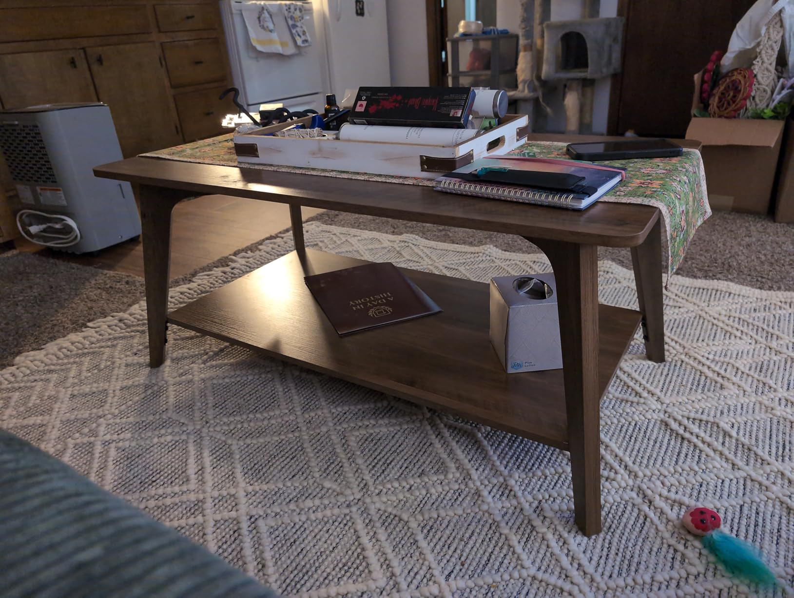VASAGLE Coffee Table, 2-Tier Center Table with Storage, Tapered Legs | Curved Transitions, Easy to Assemble, for Living Room, 21.7 x 39.4 x 17.7 Inches, Honey Brown, MAEZO Collection ULCT249K01 customer photo 2