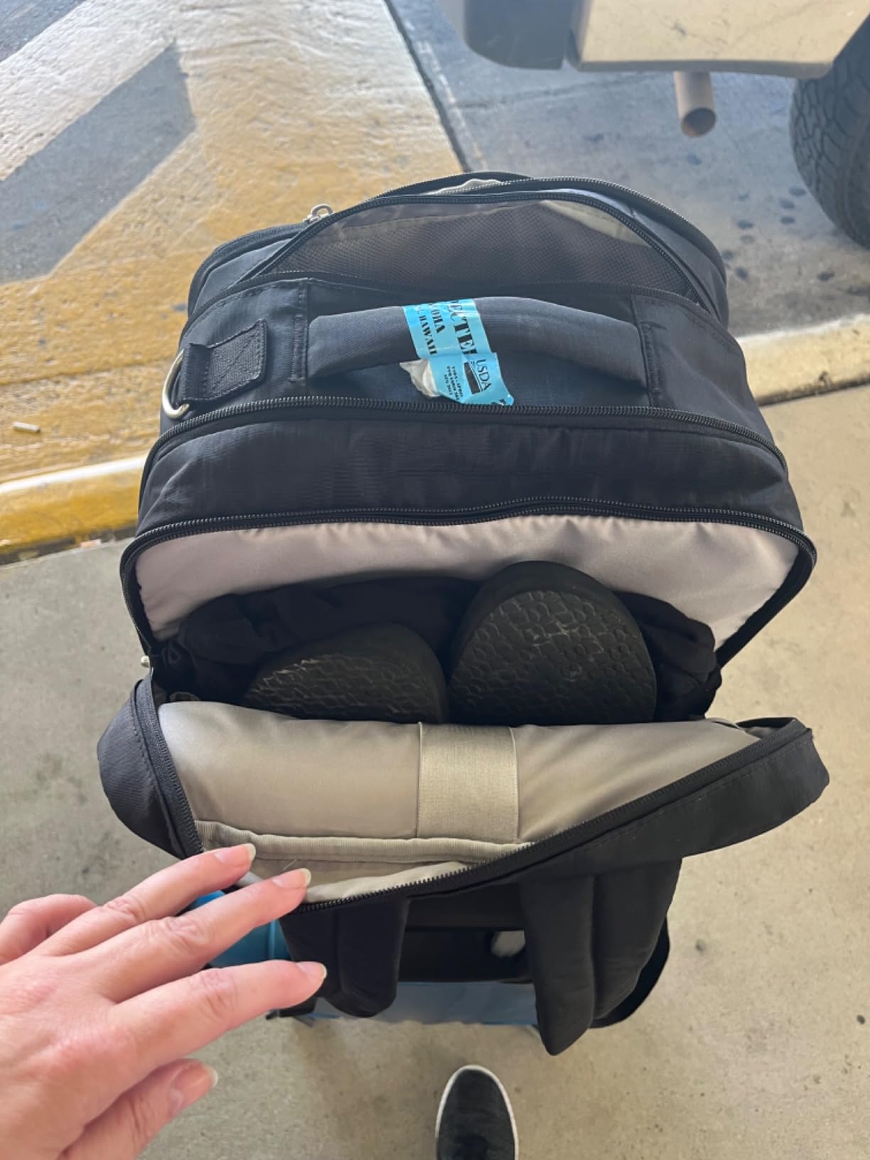 Baggallini Modern Convertible Travel Backpack customer photo 1