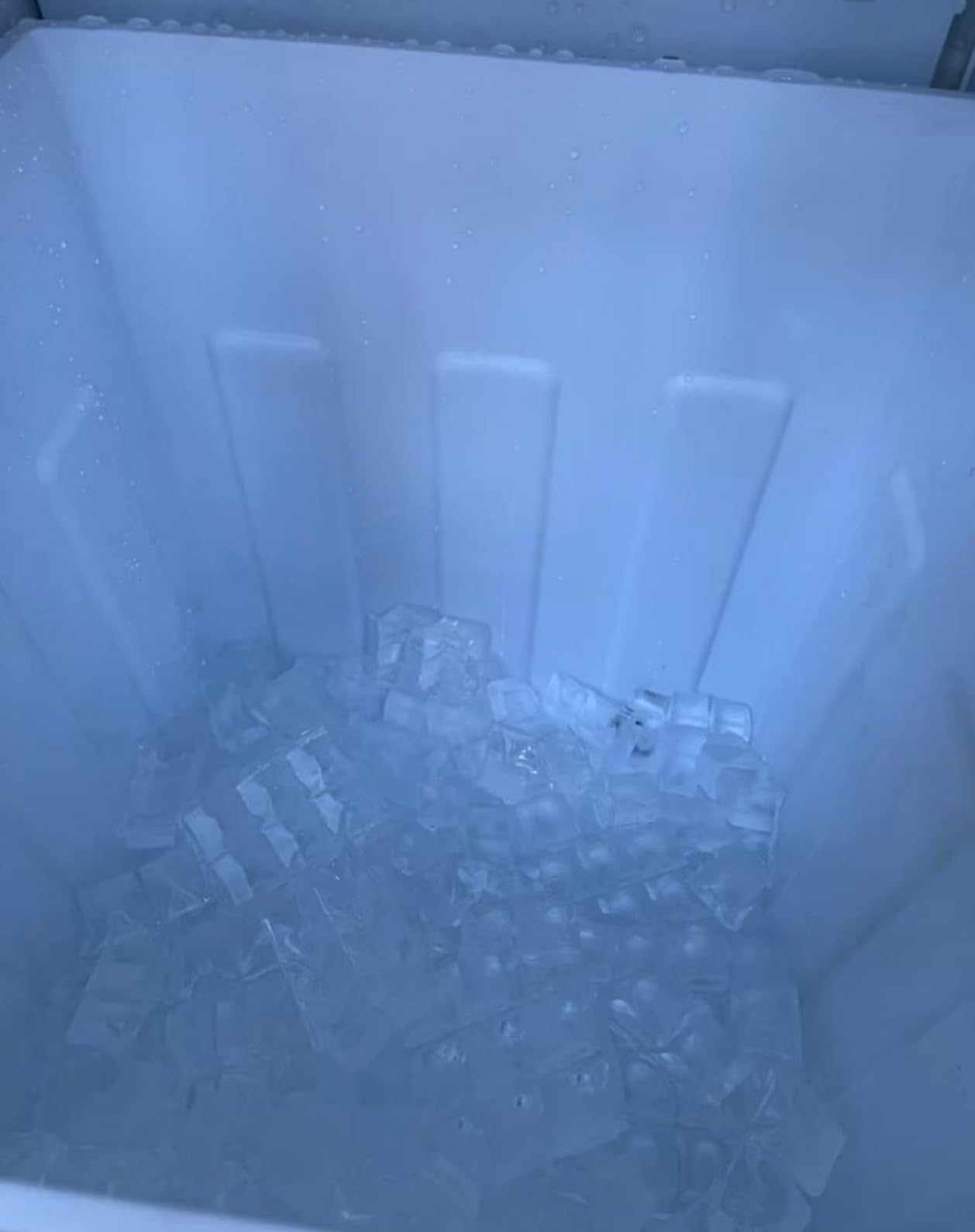 Coolski 15