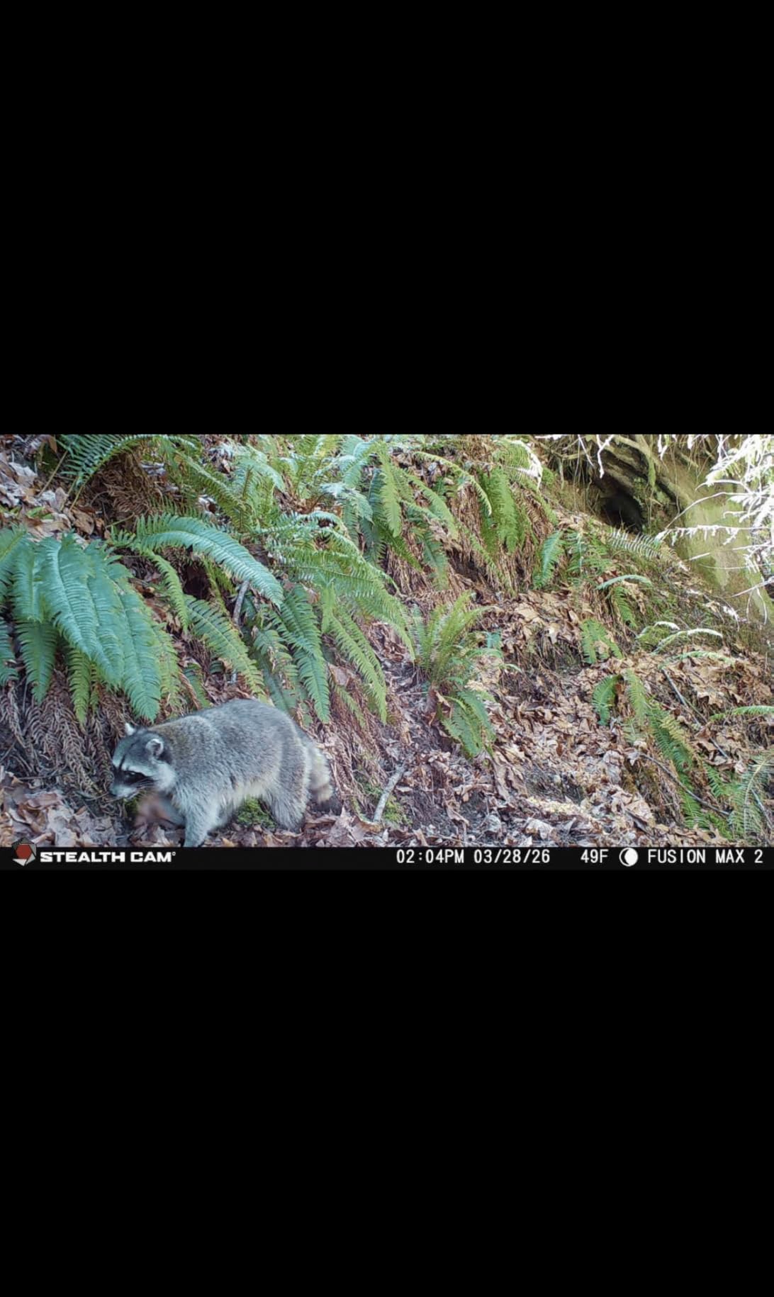 Stealth Cam Fusion Max 2.0 Cellular Trail Camera 36MP | 16GB Internal Memory customer photo 1