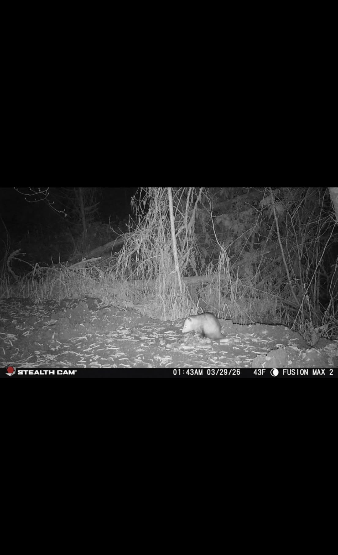 Stealth Cam Fusion Max 2.0 Cellular Trail Camera 36MP | 16GB Internal Memory customer photo 2