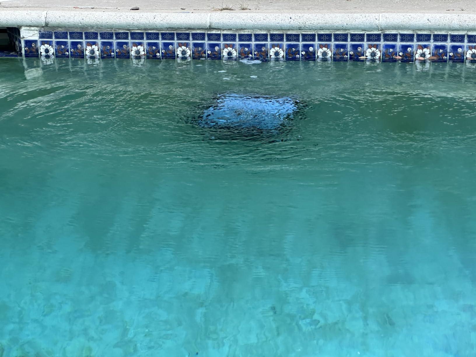 (2026 Upgrade) SAT 25 Cordless Robotic Pool Vacuum, AI Sonar Navigation, 180 Mins Runtime, Wall Climbing Auto Cleaner for Inground Pools customer photo 2