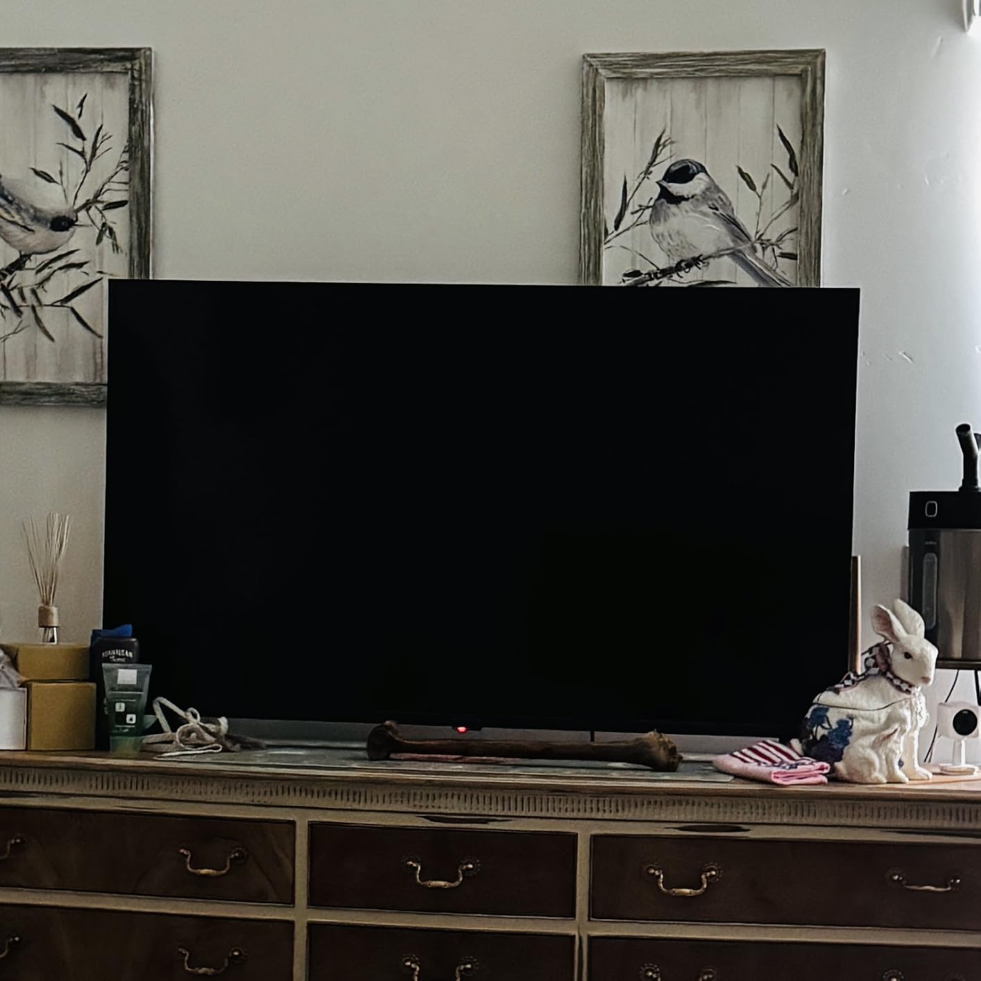 Insignia F50 Series customer photo 2