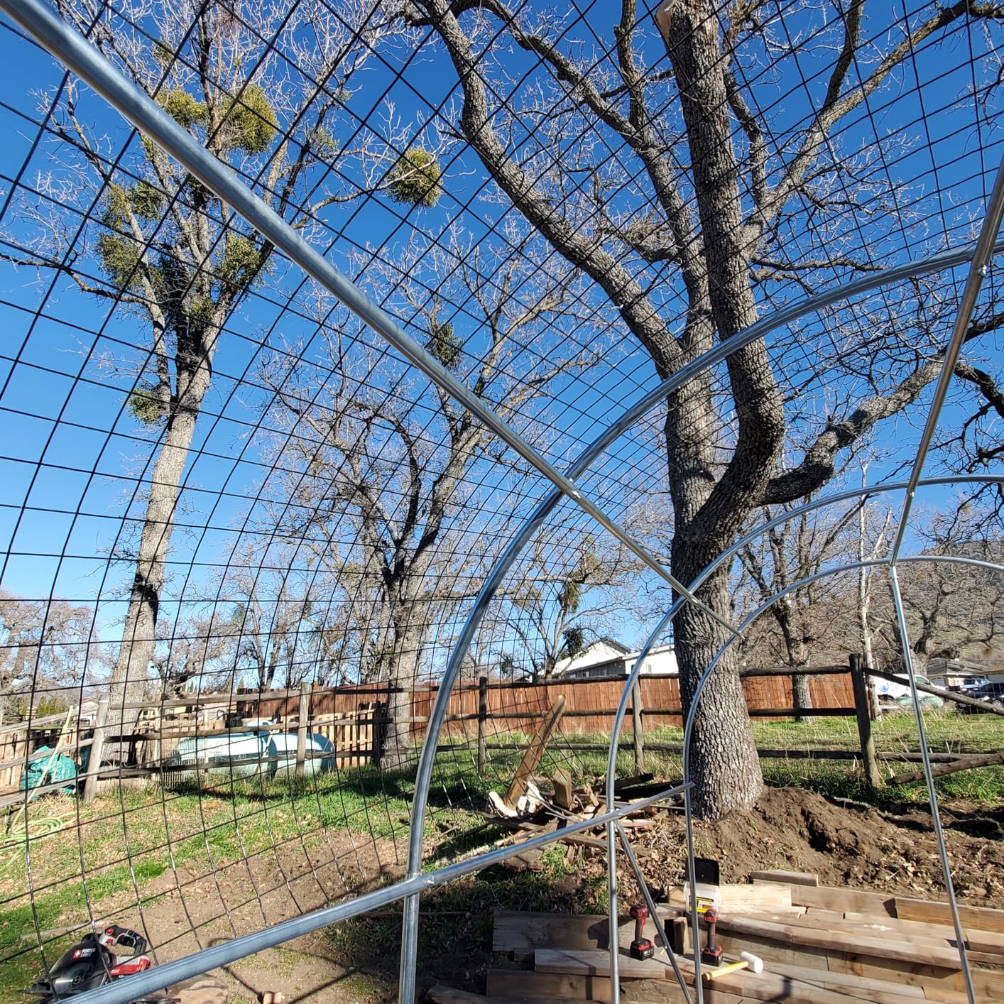 KING BIRD Premium 20x10x6.6FT Greenhouse for Outdoors, Large Walk-in Upgraded Galvanized Metal Frame, Mesh Door Screen Window Improved Zipper Tunnel Hoop for Garden Plant Winter, 2 Stiffeners, White customer photo 2