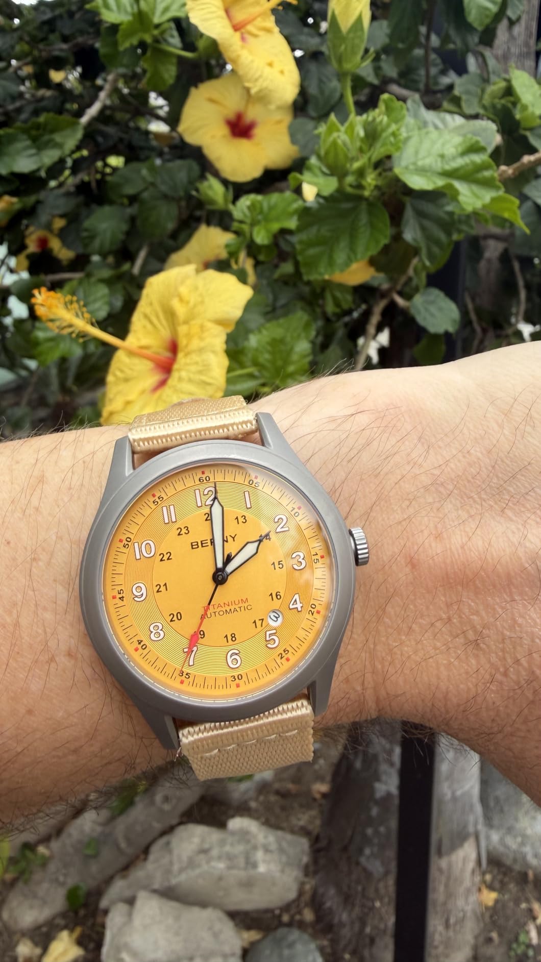 BERNY Titanium Automatic Watch, 10ATM Waterproof Men's Military Field Watch customer photo 2