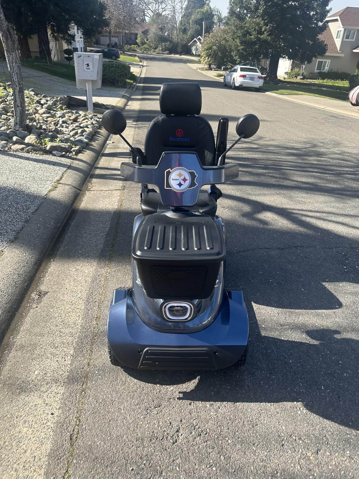 MS09 MAX All-Terrain 1000W Electric Mobility Scooter for Adults & Seniors, 500 LBS Load, 32 Miles Range Heavy-Duty Powered Wheelchair with Bluetooth, Front & Rear Storage Baskets, Off-Road Suspension customer photo 1