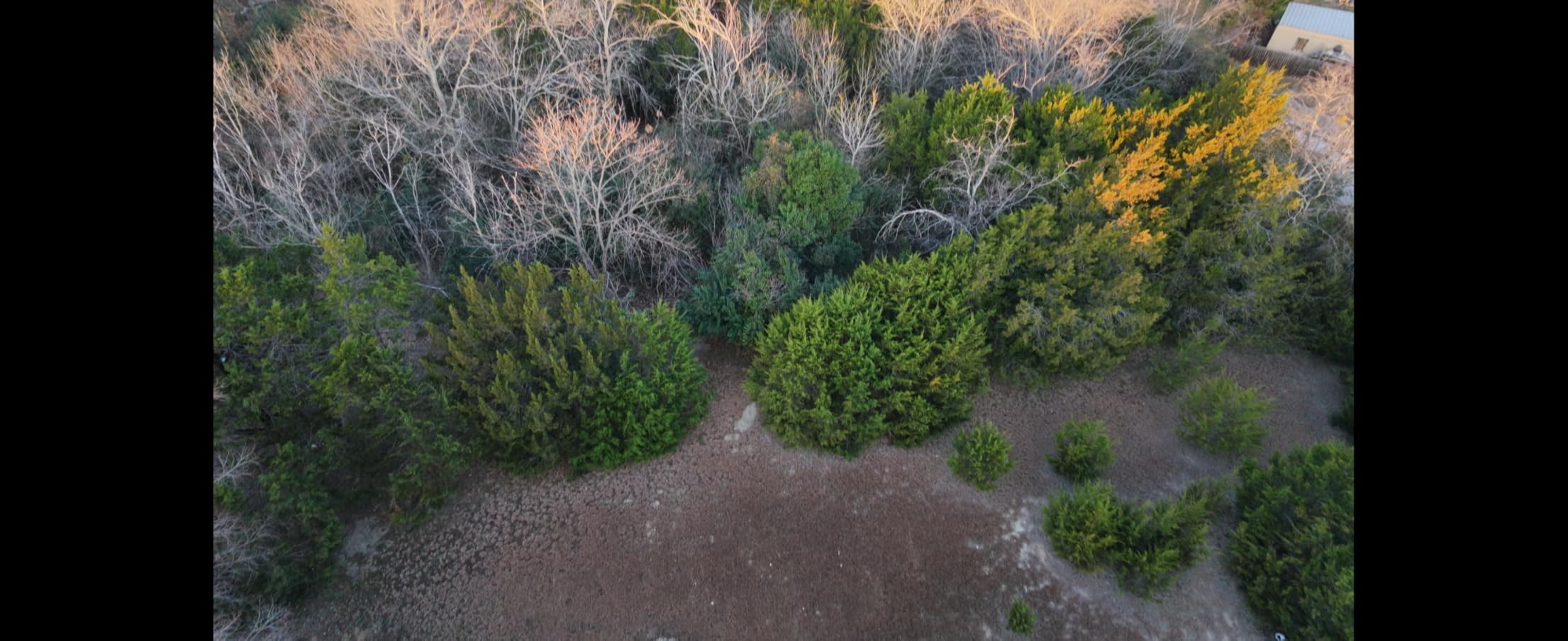 DJI Neo 2 (Drone Only), Lightweight 4K Drone With Camera | Palm Takeoff & Landing, Gesture Control, ActiveTrack, Omnidirectional Obstacle Sensing customer photo 1