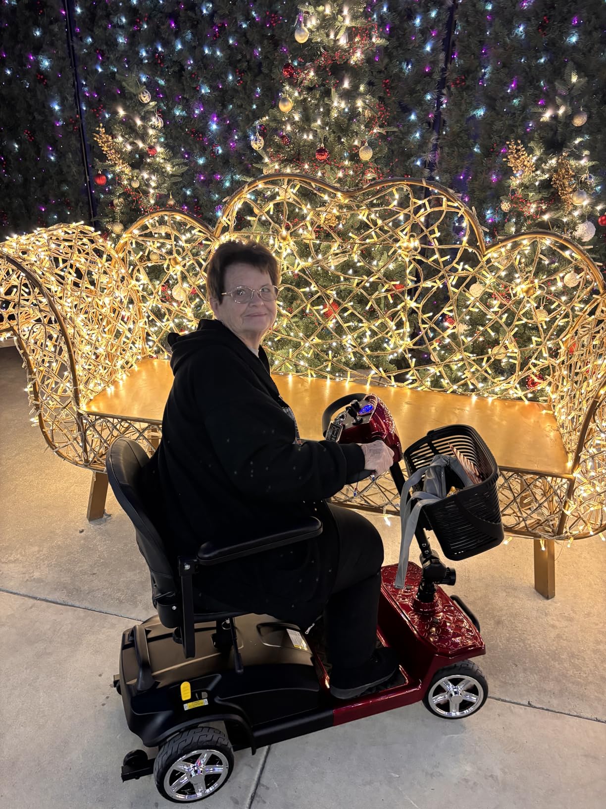 Heavy Duty Mobility Scooter for Adults & Seniors, 500W Motor, 20/30 Miles Long Range, 450 LBS Capacity, Removable Lithium Battery, 10