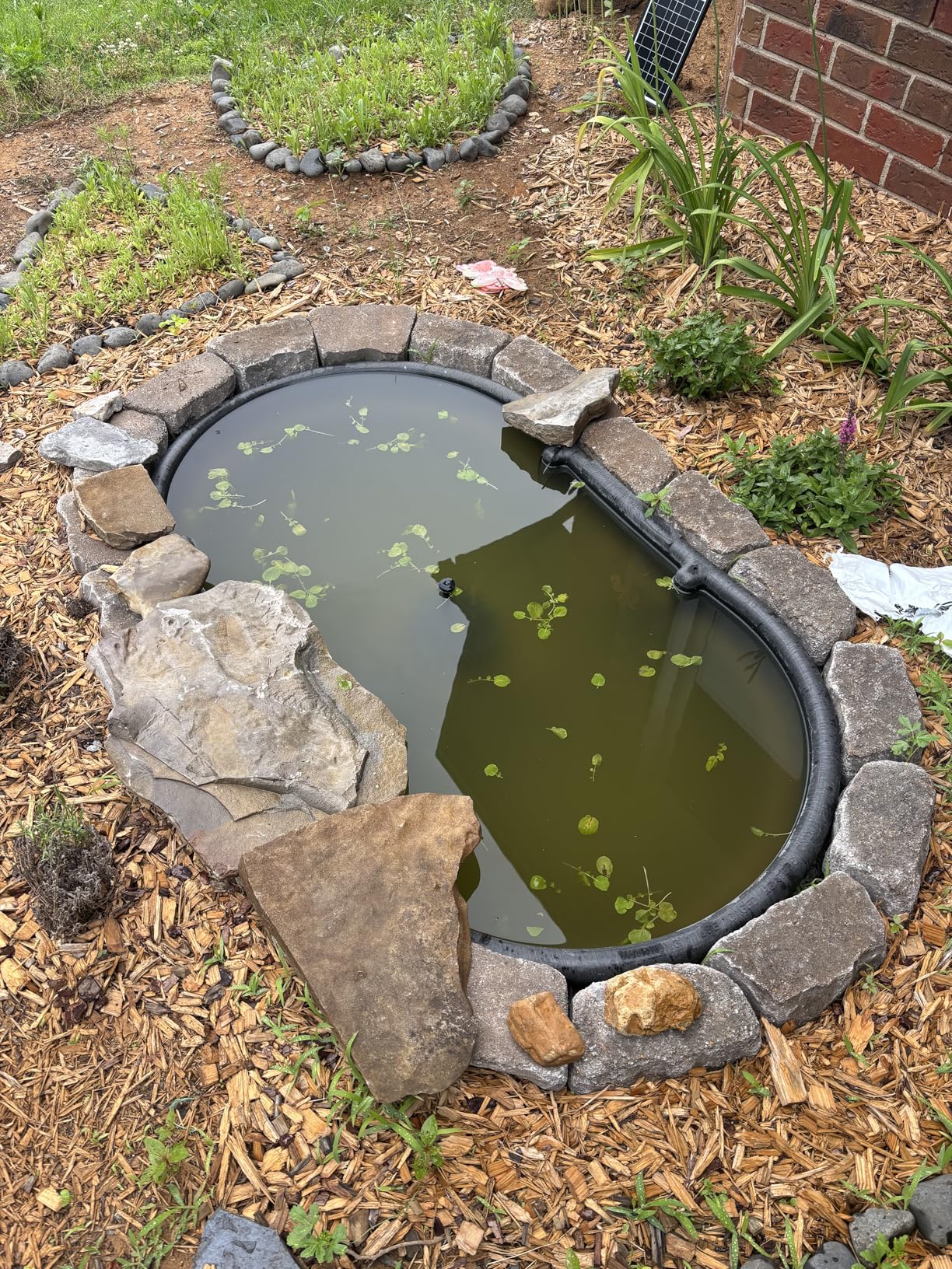 Solar Fountain Pump with Pond Filter Kit Built-in 3000mAh Battery Backup, 8W Solar Water Fountain Pump, Pond Filters for Outdoor Ponds Bird Baths DIY Water Feature customer photo 1