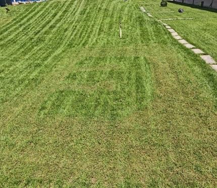 Sunseeker X5 AWD Robot Lawn Mower, RTK, Vision AI, 0.5 Acre, Wire-Free | Dependable AWD mowing for medium to large everyday yards customer photo 2