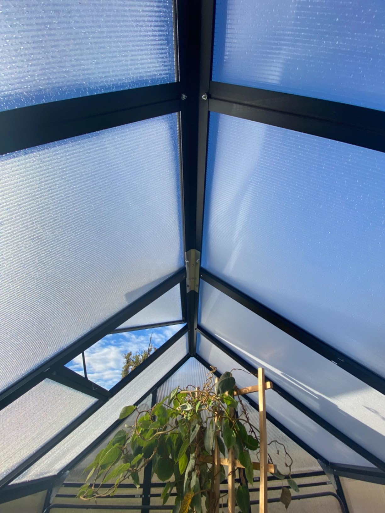 12x10x10 FT Polycarbonate Greenhouse for Outdoors w/2 Windows | Easy Assembly, Large Thicker Aluminum Heavy Duty Walk-in Greenhouses Kit, Green House for Outside, Sunroom, Backyard, Garden customer photo 2